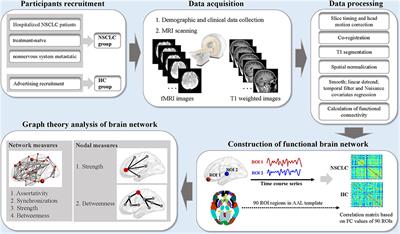 Topological Abnormalities of Pallido-Thalamo-Cortical Circuit in Functional Brain Network of Patients With Nonchemotherapy With Non-small Cell Lung Cancer